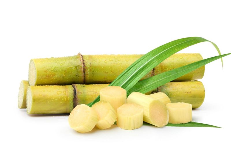 dưỡng chất policosanol hỗ trợ tim mạch