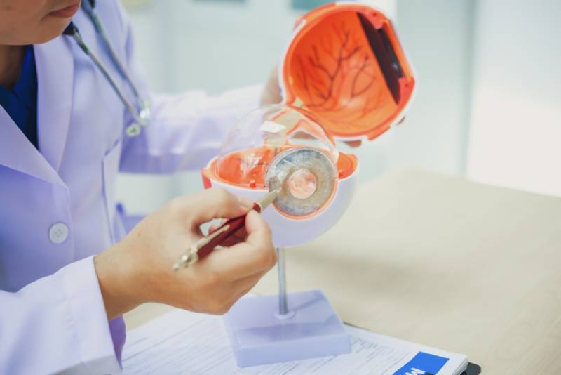 Glaucoma thuộc nhóm các bệnh nguy hiểm về mắt, là nguyên nhân hàng đầu gây mù lòa ở người trên 60 tuổi. 