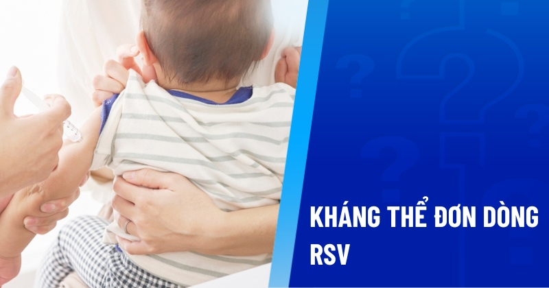 Kháng thể đơn dòng RSV
