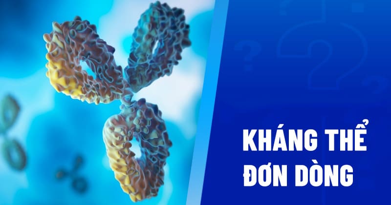 kháng thể đơn dòng