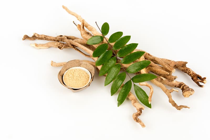 mẹo dân gian từ mật nhân