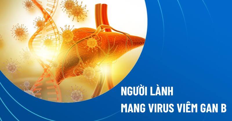 người lành mang virus viêm gan B