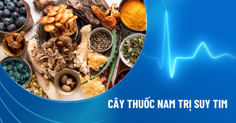 thuốc nam trị suy tim