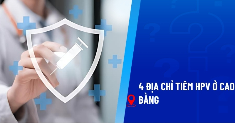 tiêm hpv ở cao bằng