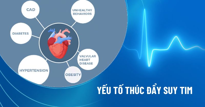 yếu tố thúc đẩy suy tim