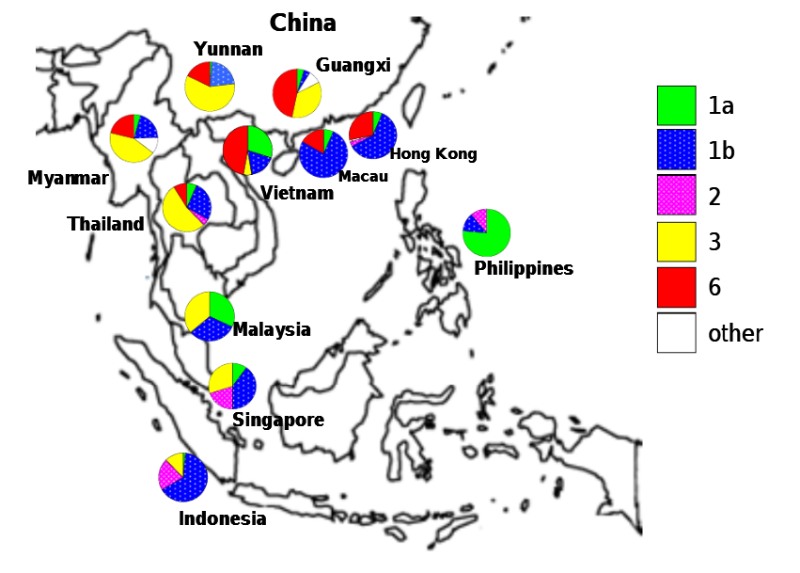 bản đồ phân bố kiểu gen hcv