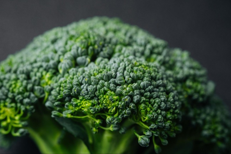 bông cải xanh giàu broccophane tự nhiên