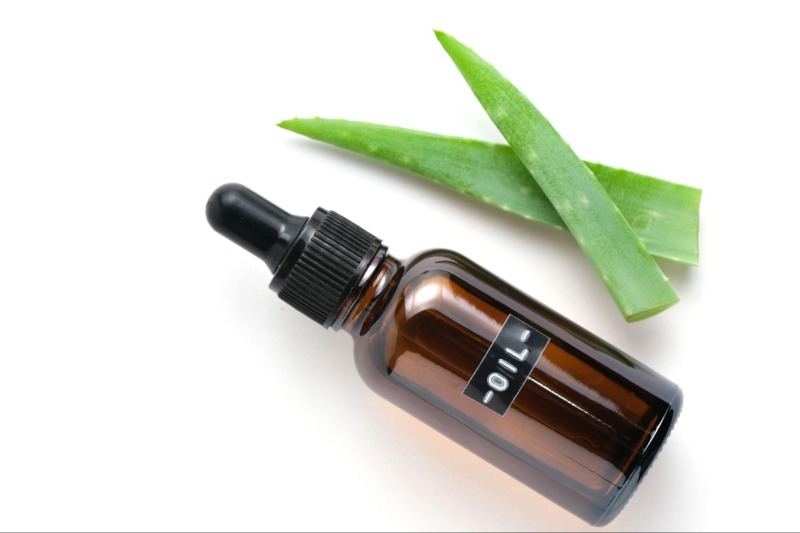 dầu mù u và nha đam giúp làm mờ nám