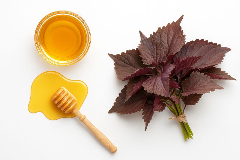 chữa đồi mồi từ tía tô và mật ong
