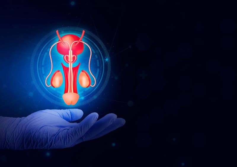 giúp đánh giá khả năng sinh sản và tình dục