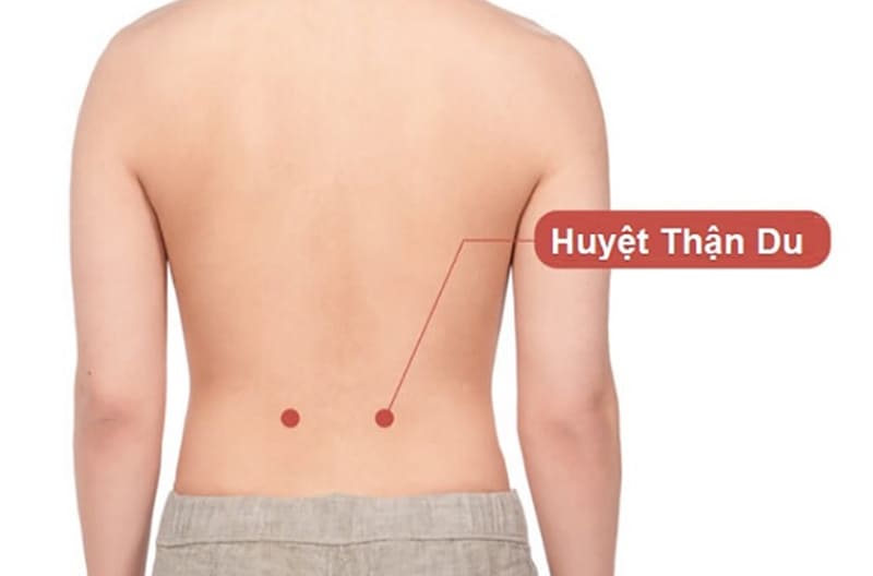 huyệt thận du