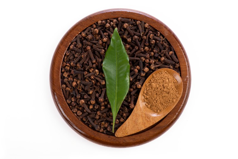 Lá vối kết hợp với nhân trần, atiso