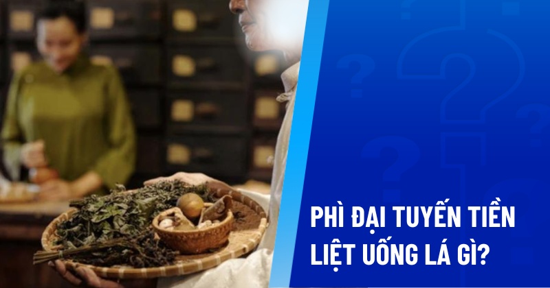 phì đại tuyến tiền liệt uống lá gì
