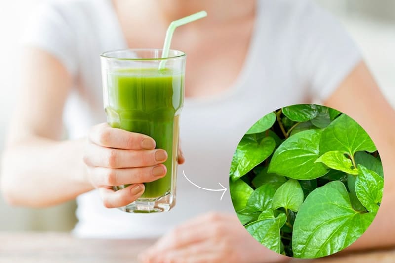 sinh tố rau diếp cá