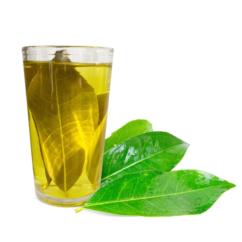 Uống nước lá vối tươi