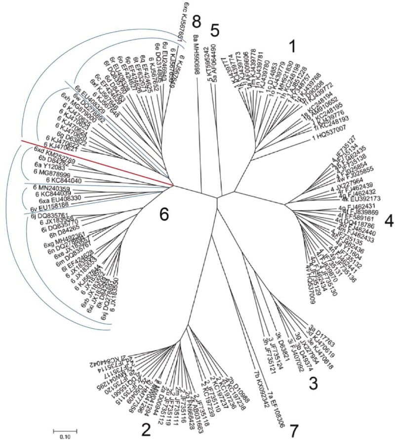 viêm gan c type 6 gom 2 cúm chính và 5 cụm phụ