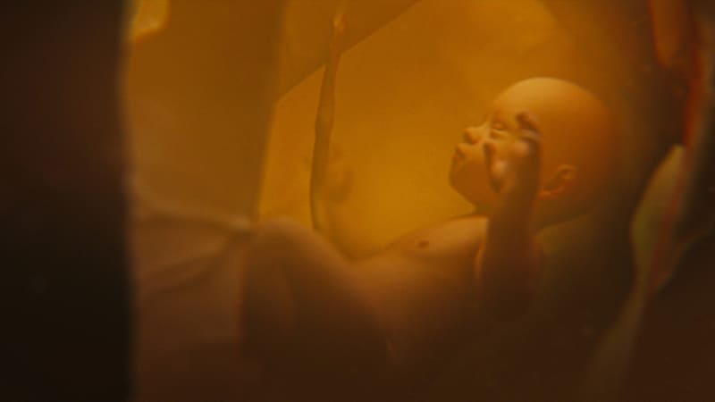 ảnh hưởng đến sự phát triển của bé