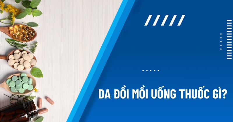 da đồi mồi uống thuốc gì