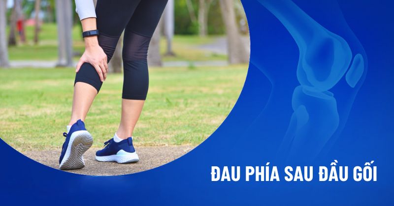 đau phía sau đầu gối