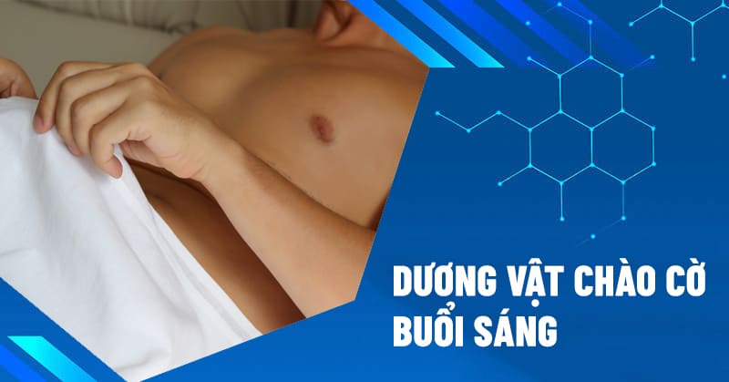 dương vật chào cờ buổi sáng