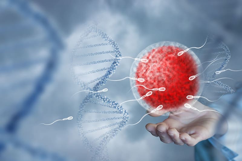 giới tính thai nhi được quyết định bởi nhiễm sắc thể