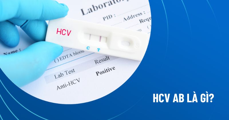 hcv ab là gì