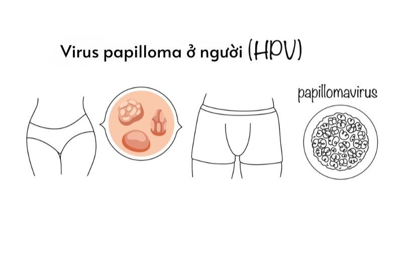 không nên quan hệ tình dục