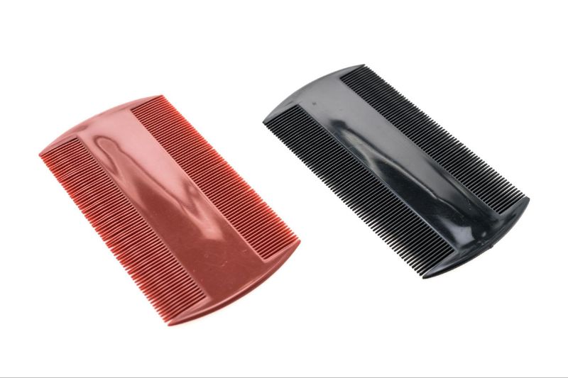 lược chải chấy