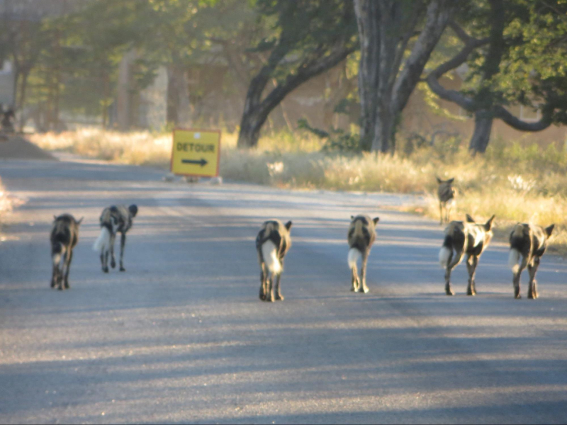 mặt cận 1,5 nhìn k rõ khoảng cách 67cm