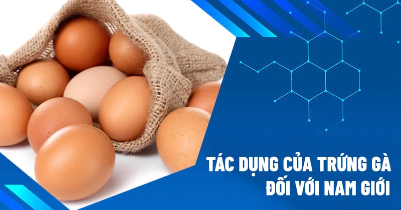 tác dụng của trứng gà đối với nam giới