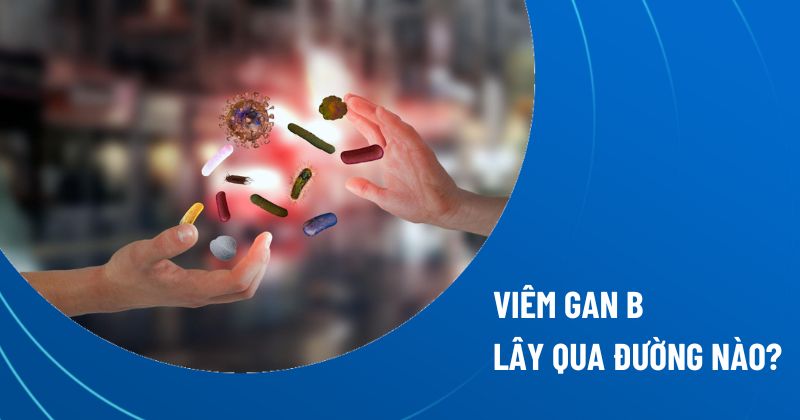 Viêm gan B lây qua đường nào? Tính lây nhiễm ra sao?