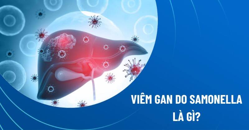 viêm gan do Salmonella