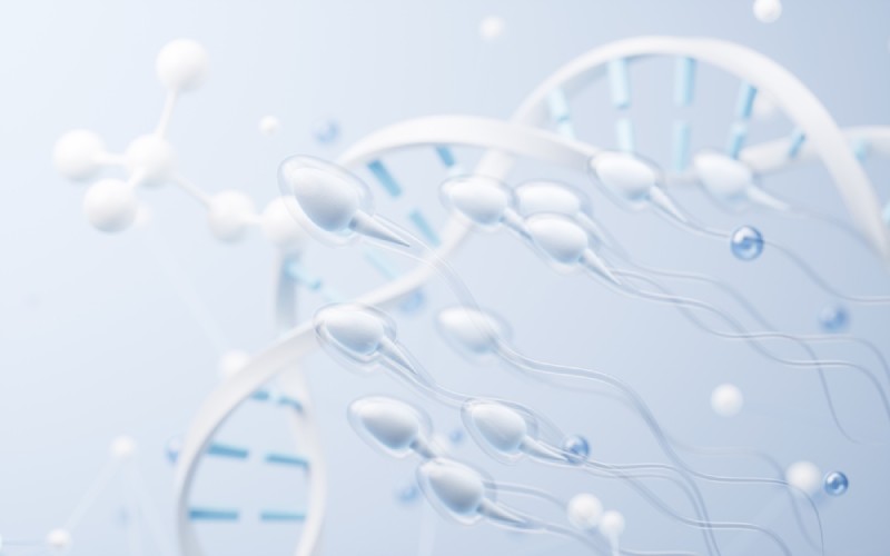 virus viêm gan B gây tổn thương dna tinh trùng