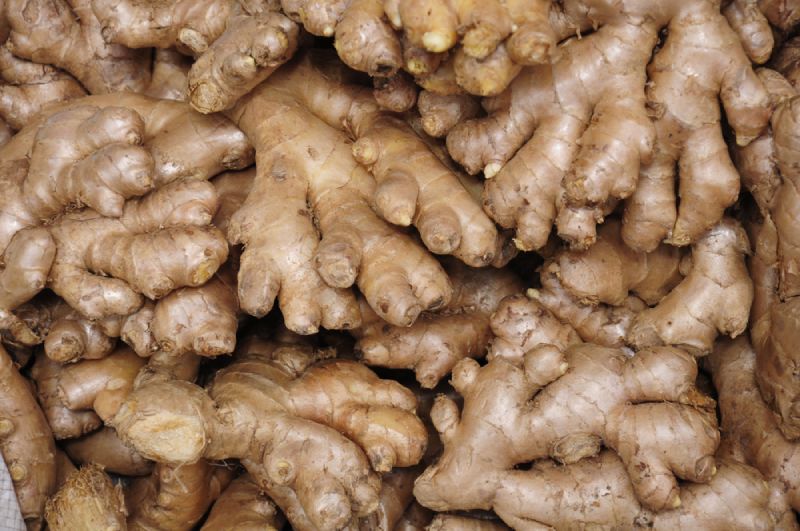 củ gừng tươi