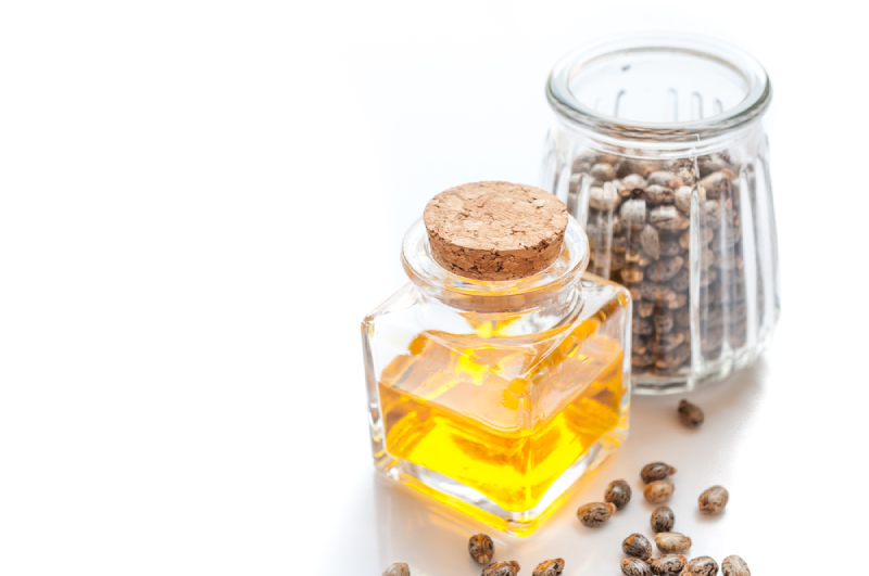 dầu cây thầu dầu