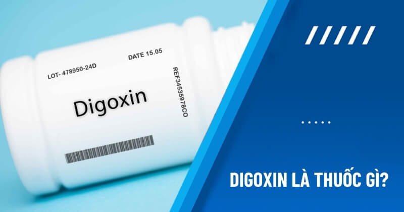 thuốc digoxin