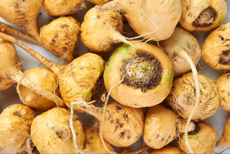 loại quả giàu tinh chất lepidium meyenii