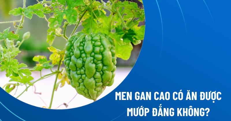 men gan cao có ăn được mướp đắng không