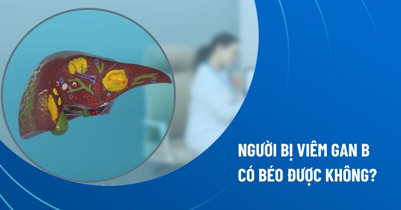 Người bị viêm gan B có béo được không?