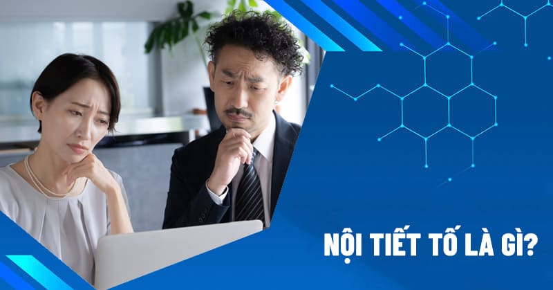 nội tiết tố là gì