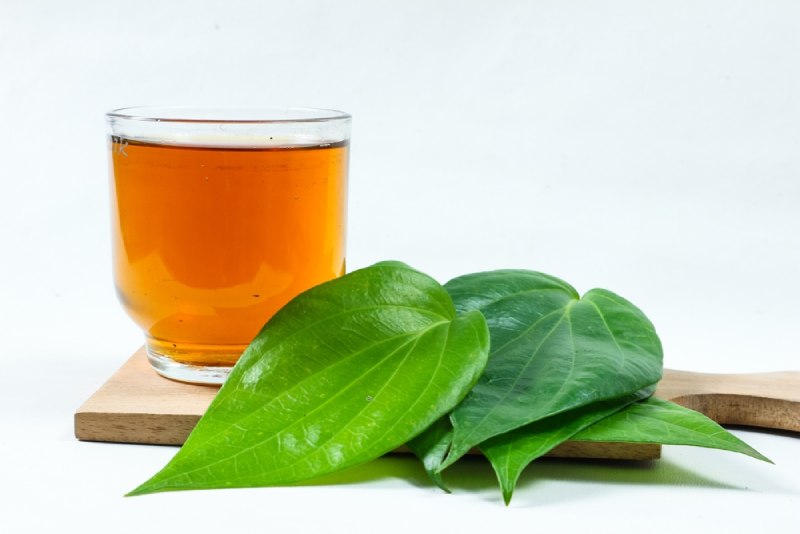 nước lá trầu không