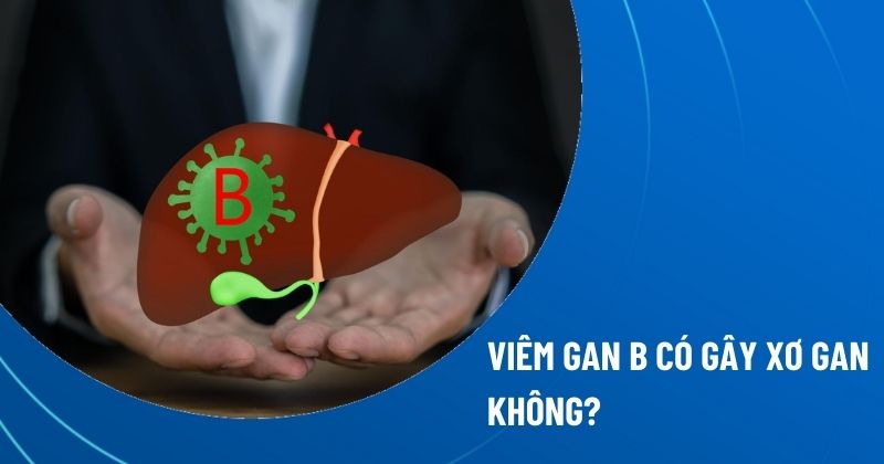 viêm gan B có gây xơ gan không