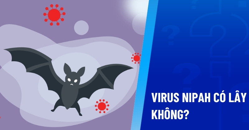 virus nipah có lây không