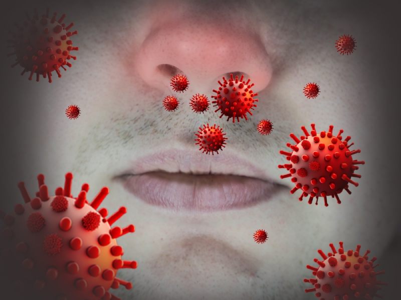 virus nipah tiềm ẩn nguy cơ lây nhiễm