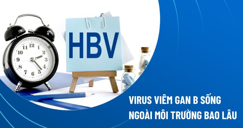 Virus viêm gan B sống ngoài môi trường bao lâu? Chết ở nhiệt độ nào?