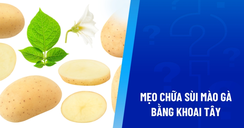 chữa sùi mào gà bằng khoai tây