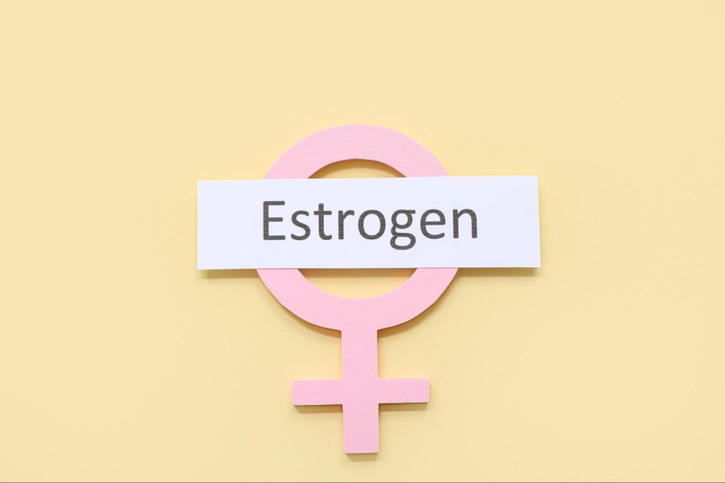 hormone estrogen