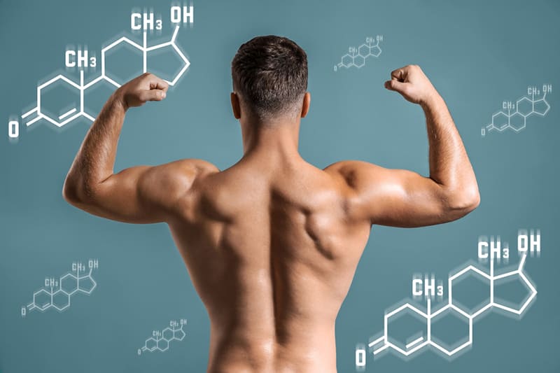 testosterone có vai trò quan trọng