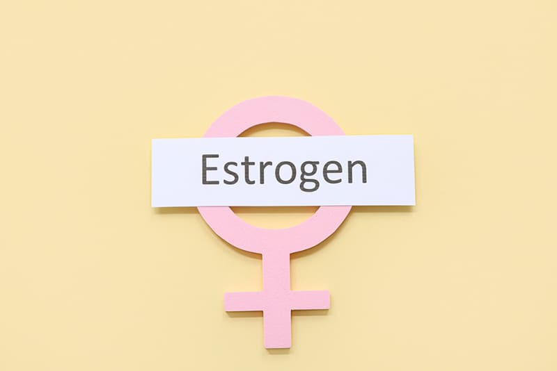 estrogen là nội tiết tố sinh dục quan trọng