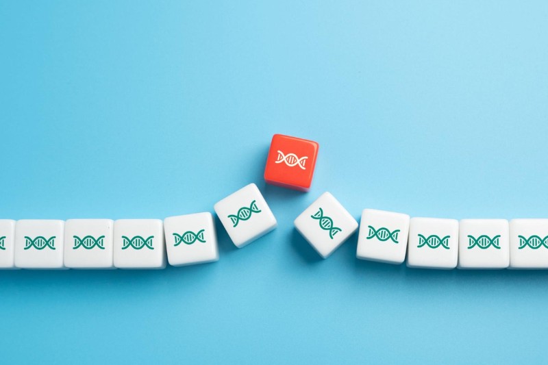 khô da sắc tố do lỗi dna